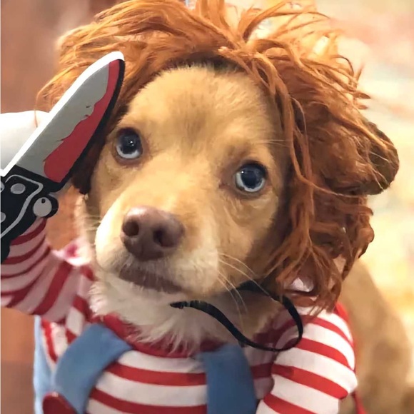 New Hooters Girl Uniform Bundle Tank Shorts Pouch Sizes Xxxs Xxs Xs Sm Med Large - Picture 15 of 16